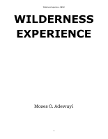 Wilderness Experience-.pdf